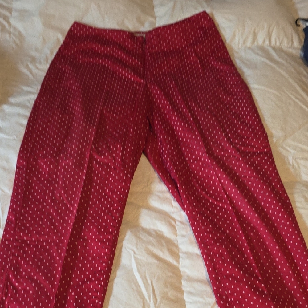 Aninoto Red Polka Dot Skirt